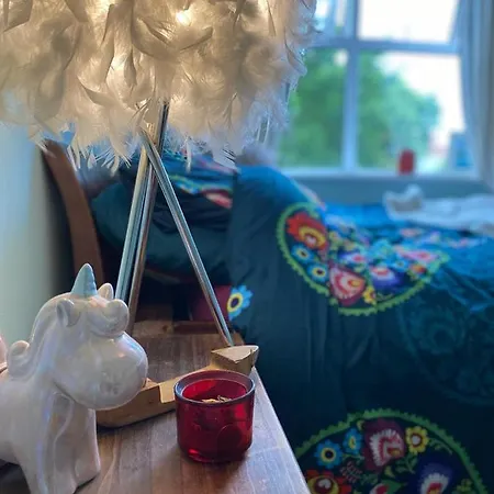 Cosy For 2 Month Let In Central Location . * Dublín