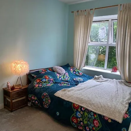 Appartement Cosy For 2 Month Let In Central Location . Dublin